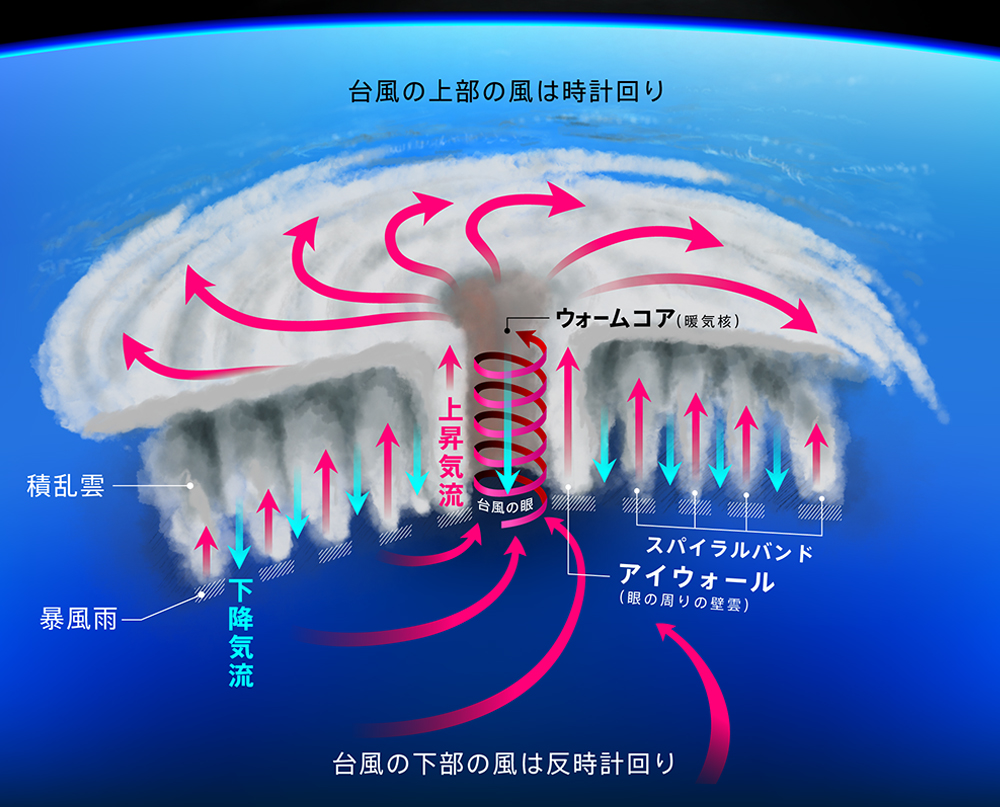 台風の構造（断面図）
